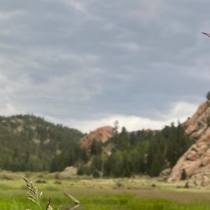 Meet your Posher, Jack